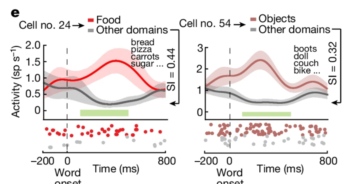 Word meaning encoding across neurons (in humans) - Richard's blog