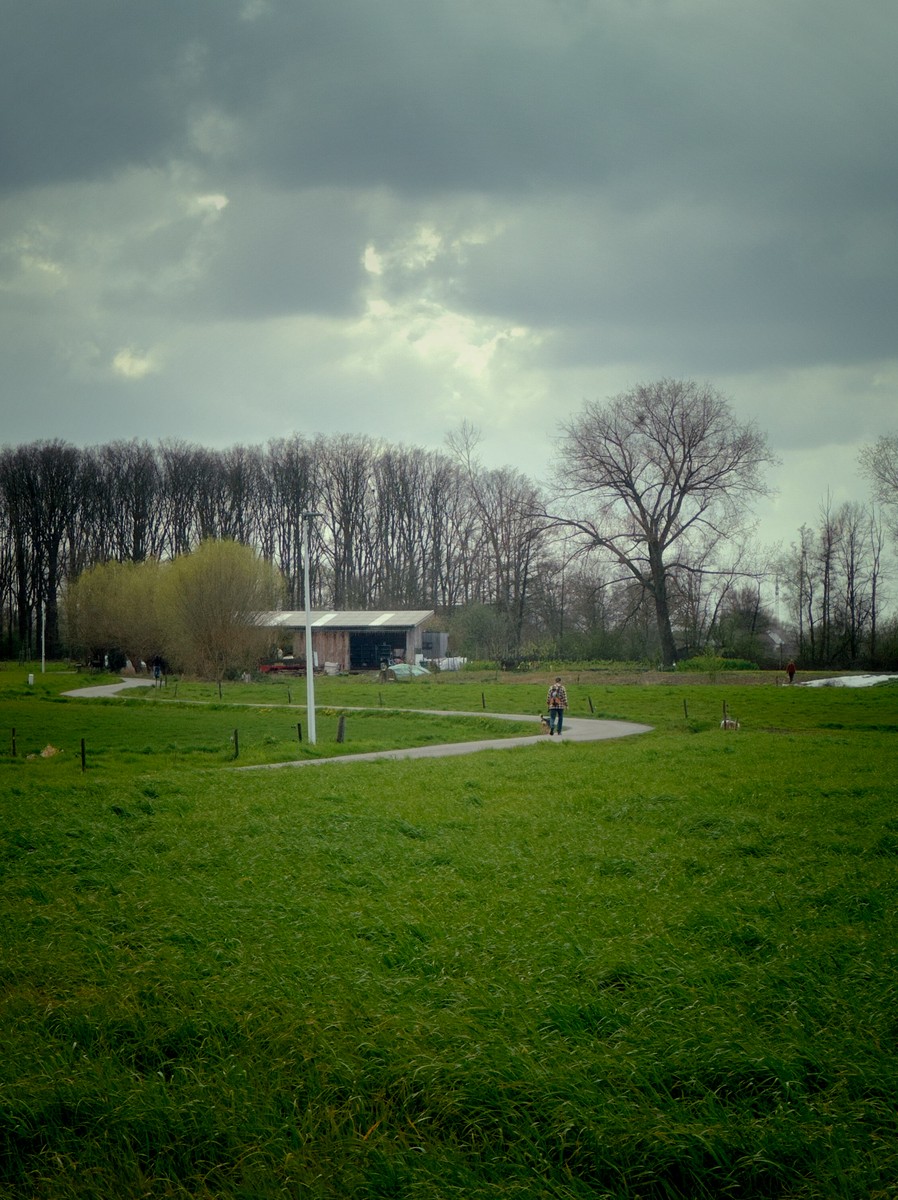 Uploaded image