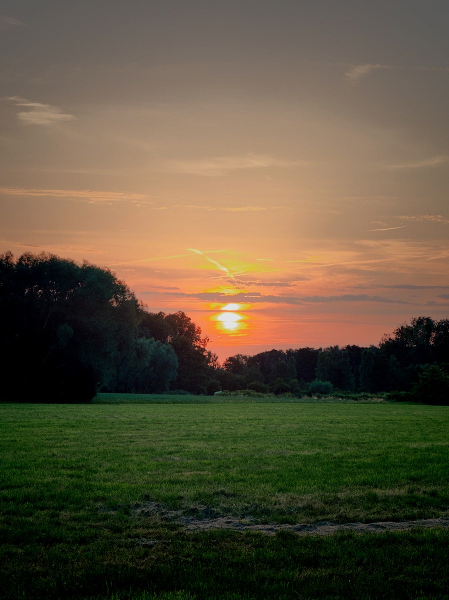 Uploaded image