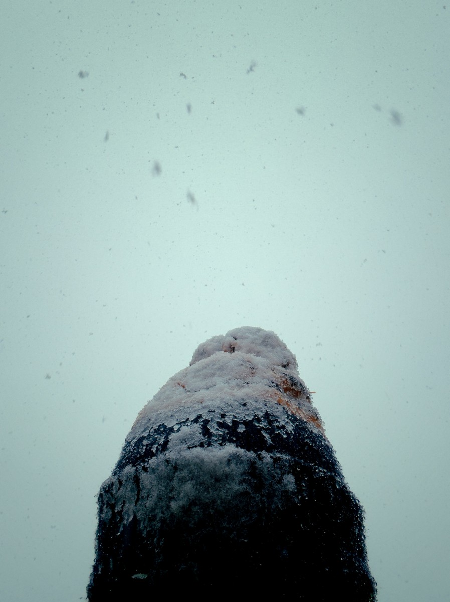 Uploaded image