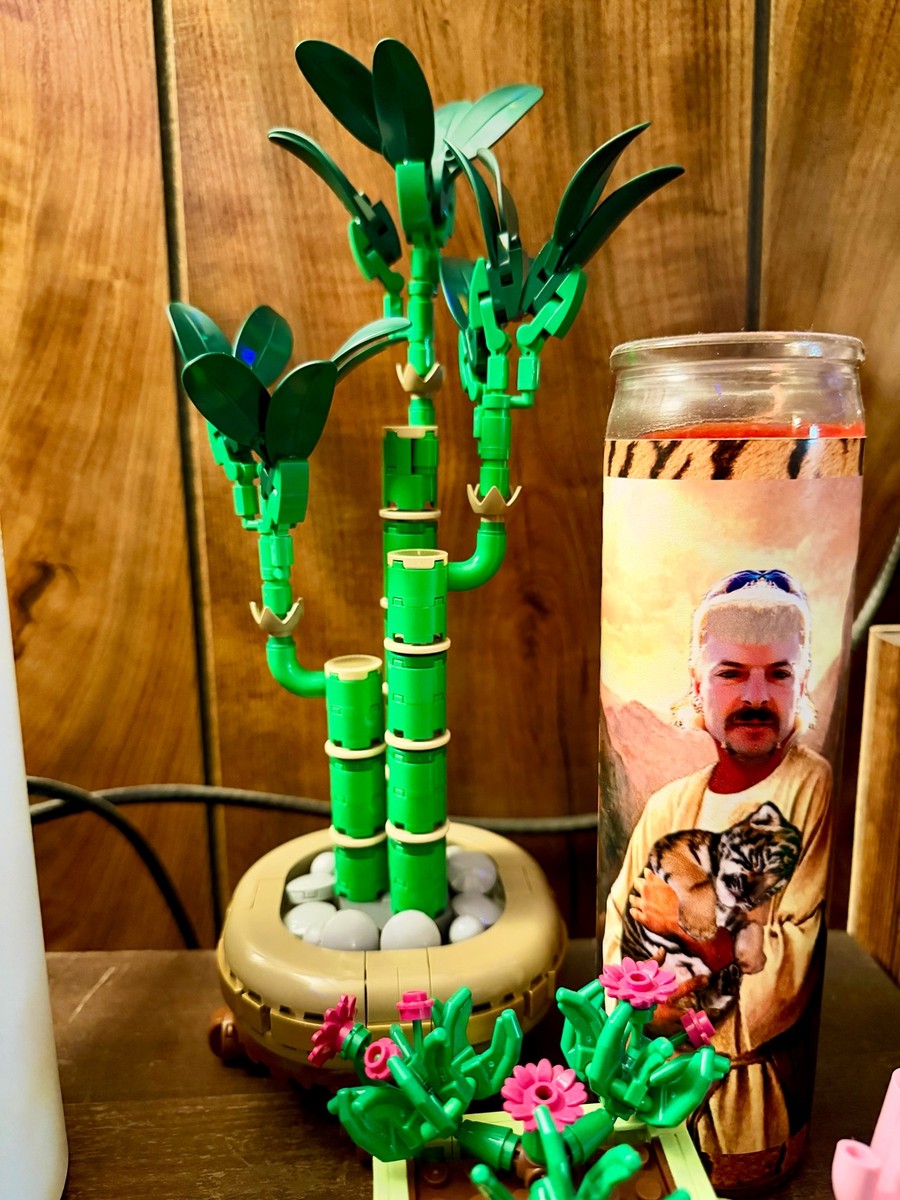 The Lucky Bamboo is keeping the Tiger King company on my shelf