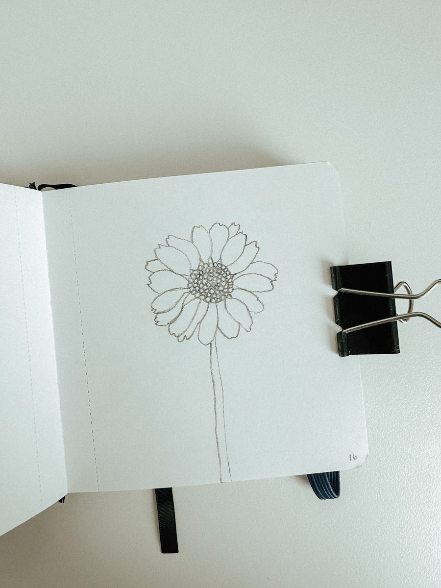 16 Daisy