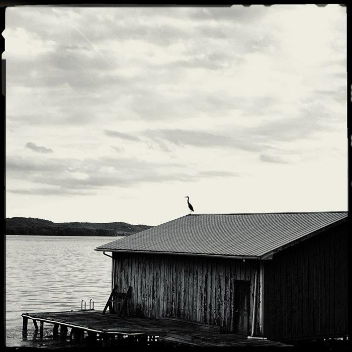 Uploaded image