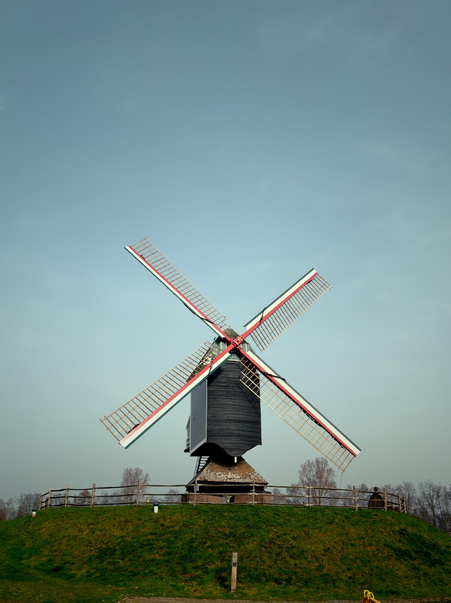 Uploaded image