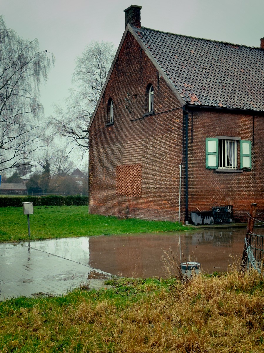 Uploaded image