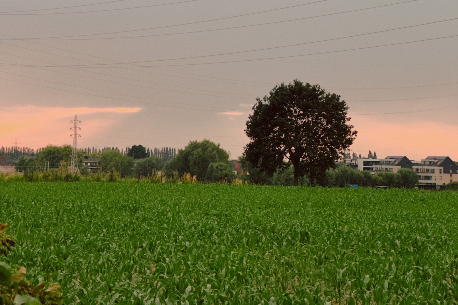Thunderstorm in the distance