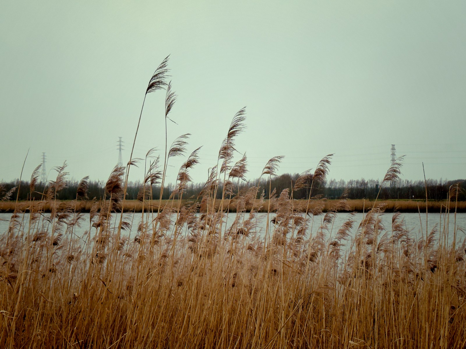 Uploaded image