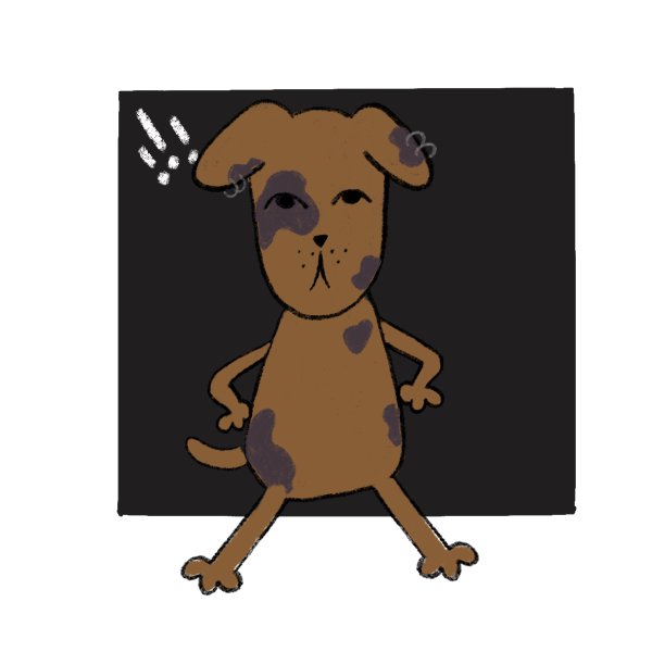 Uploaded image