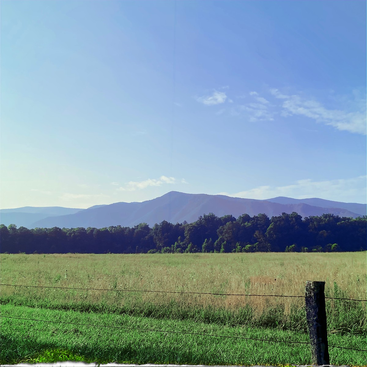 Uploaded image