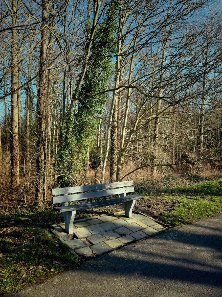 Uploaded image