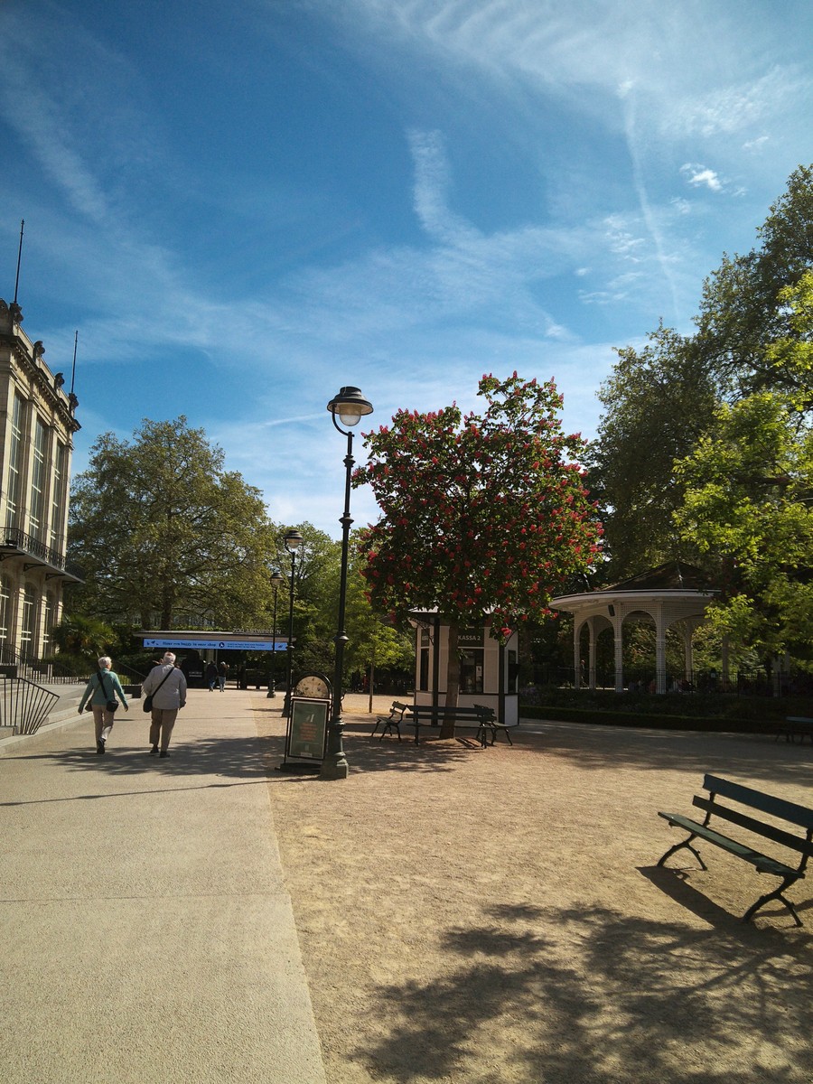 Antwerp day 2 part 2 - the zoo!