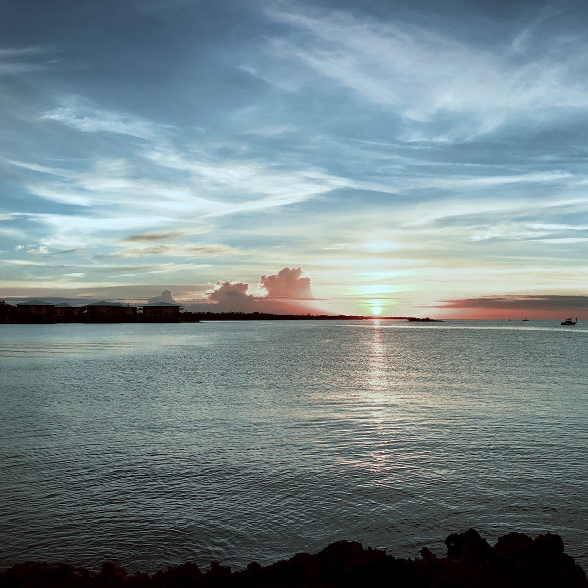 Uploaded image