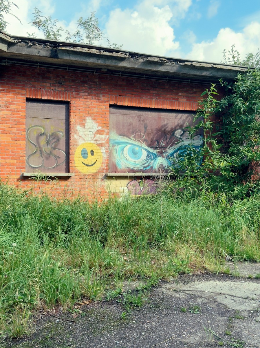 Uploaded image