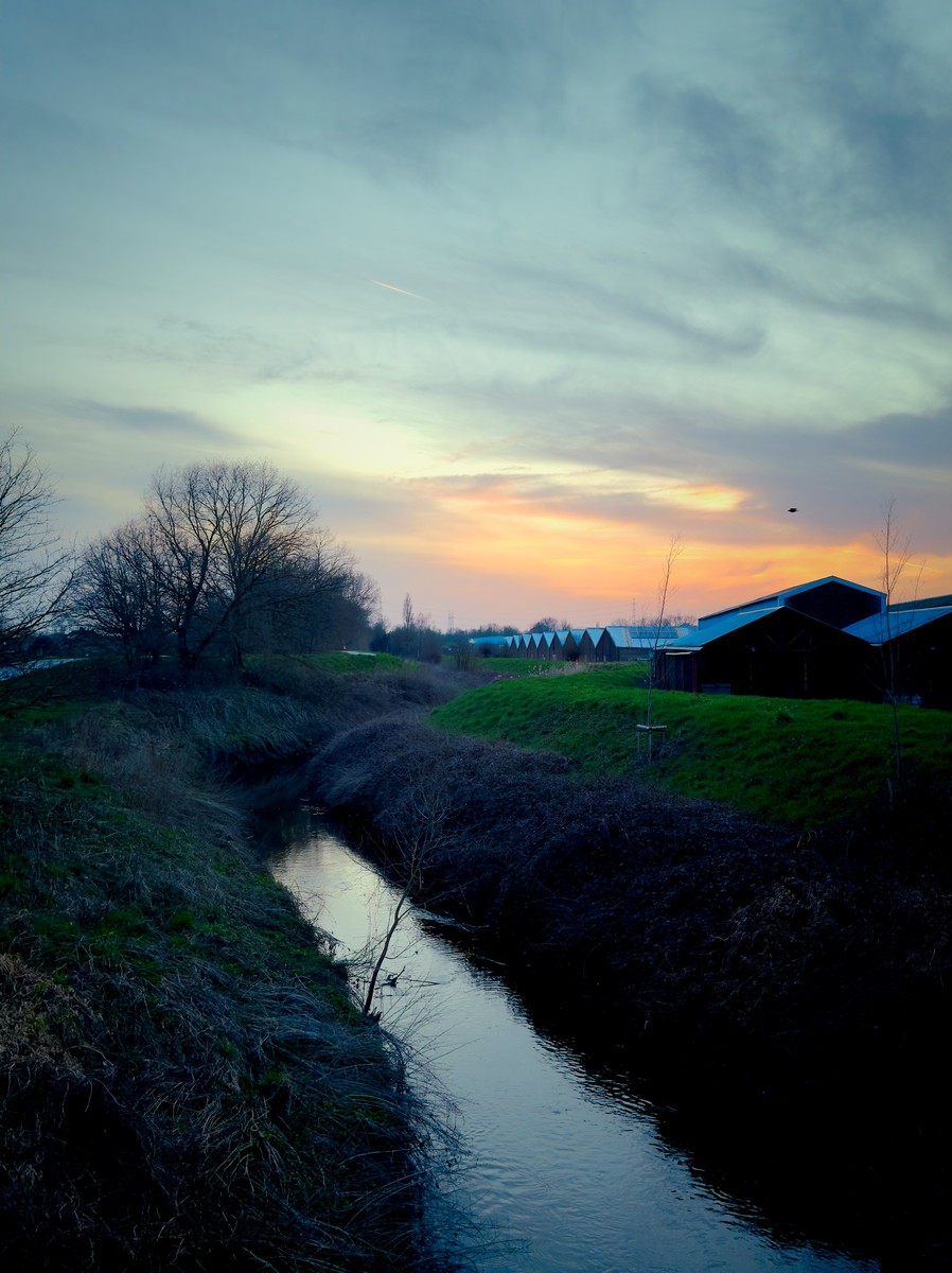 Uploaded image