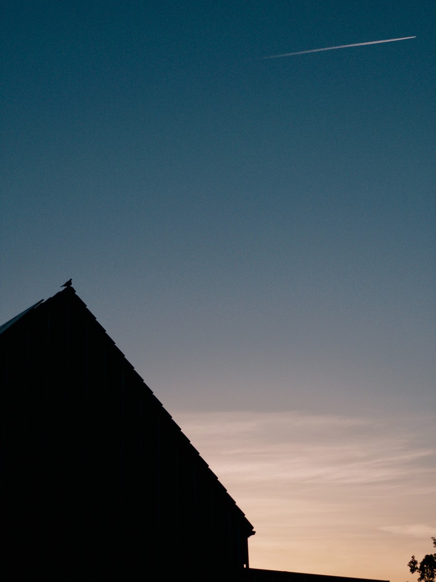 Uploaded image
