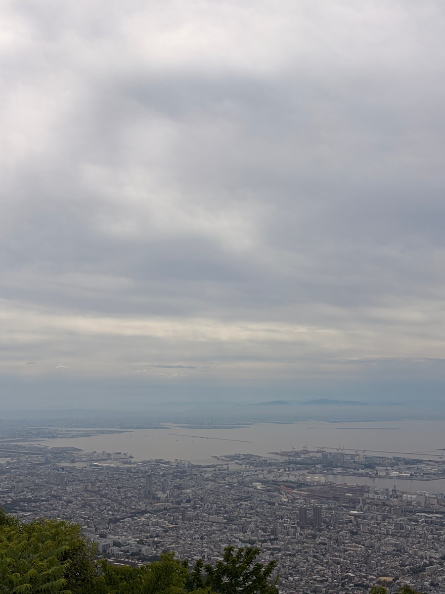 Uploaded image