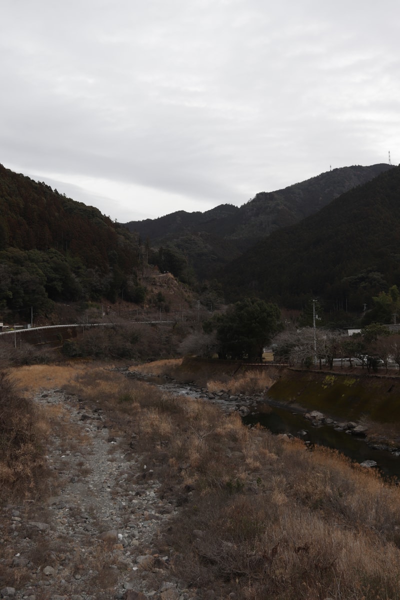 Uploaded image