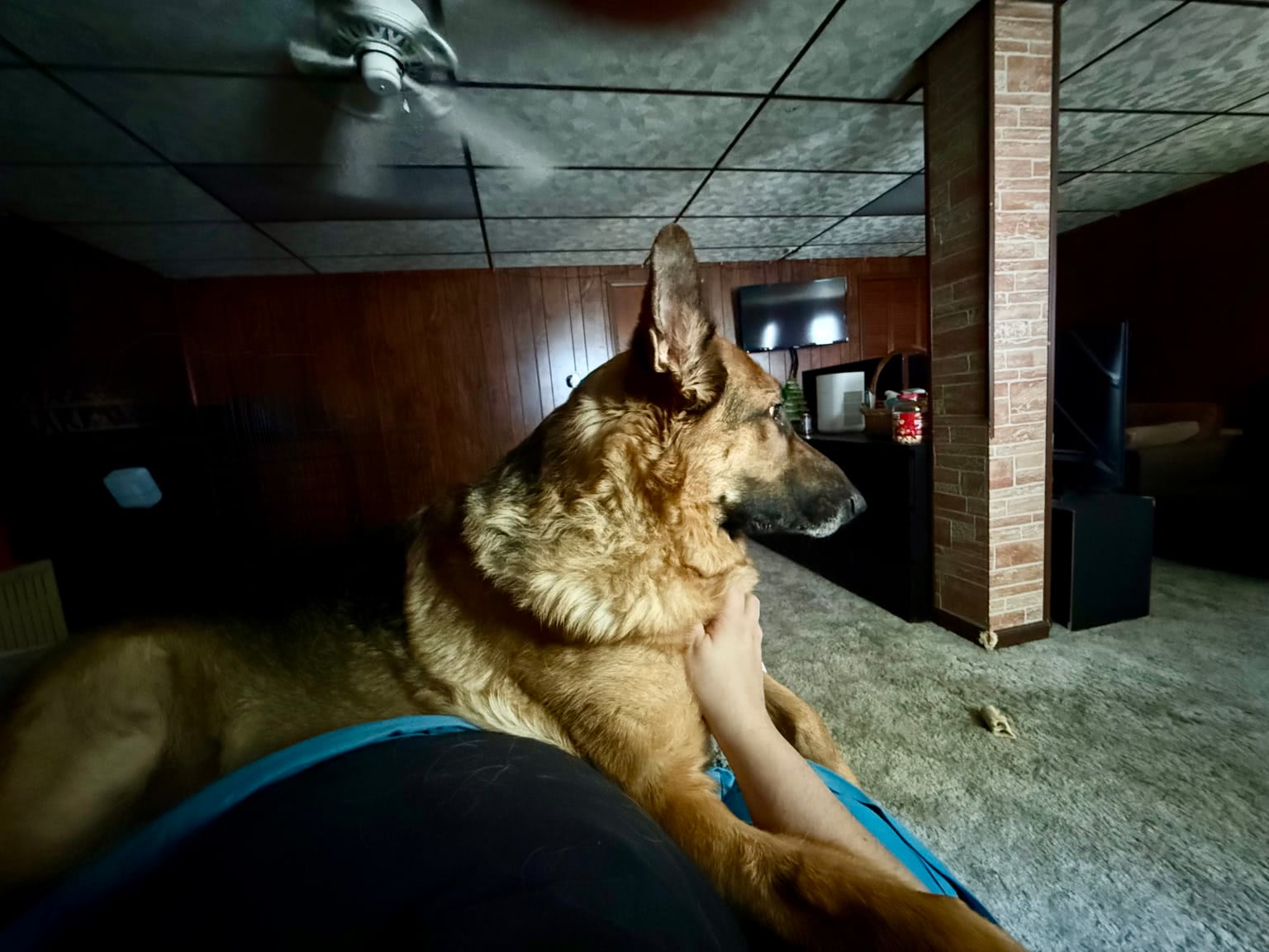 He's the best boy.