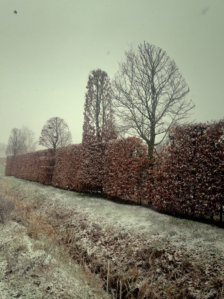 Uploaded image