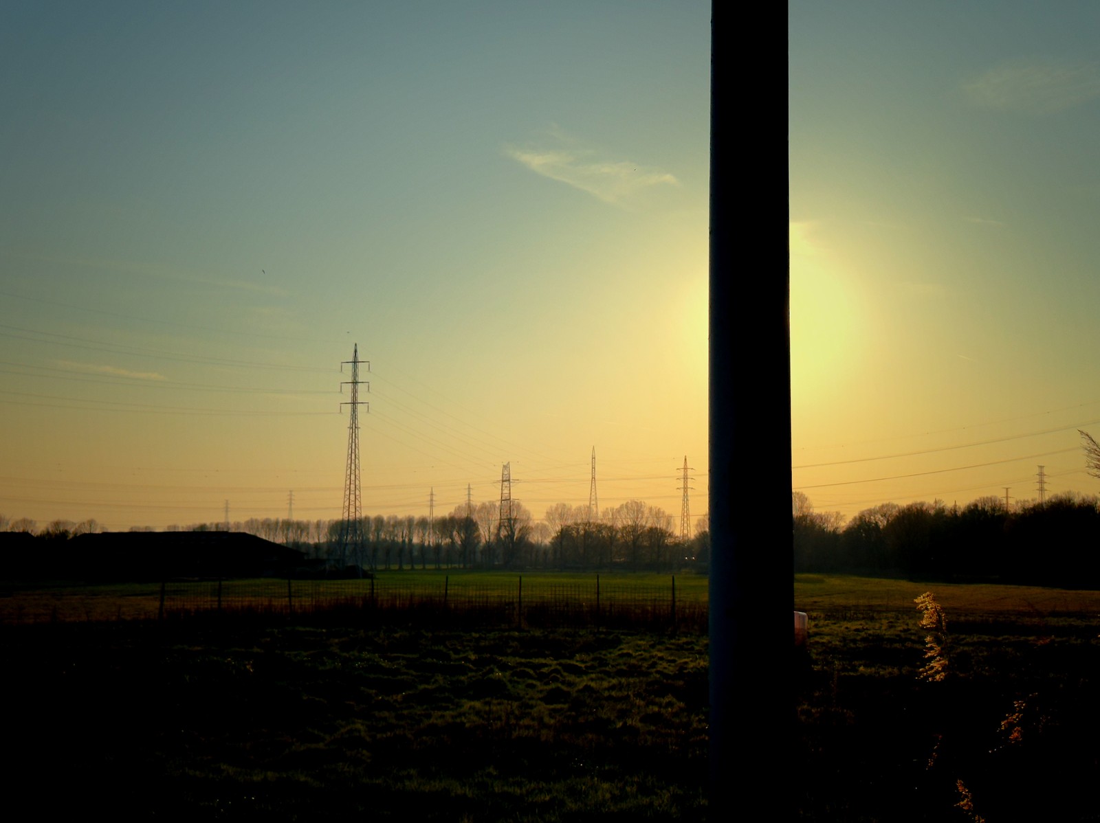 Uploaded image