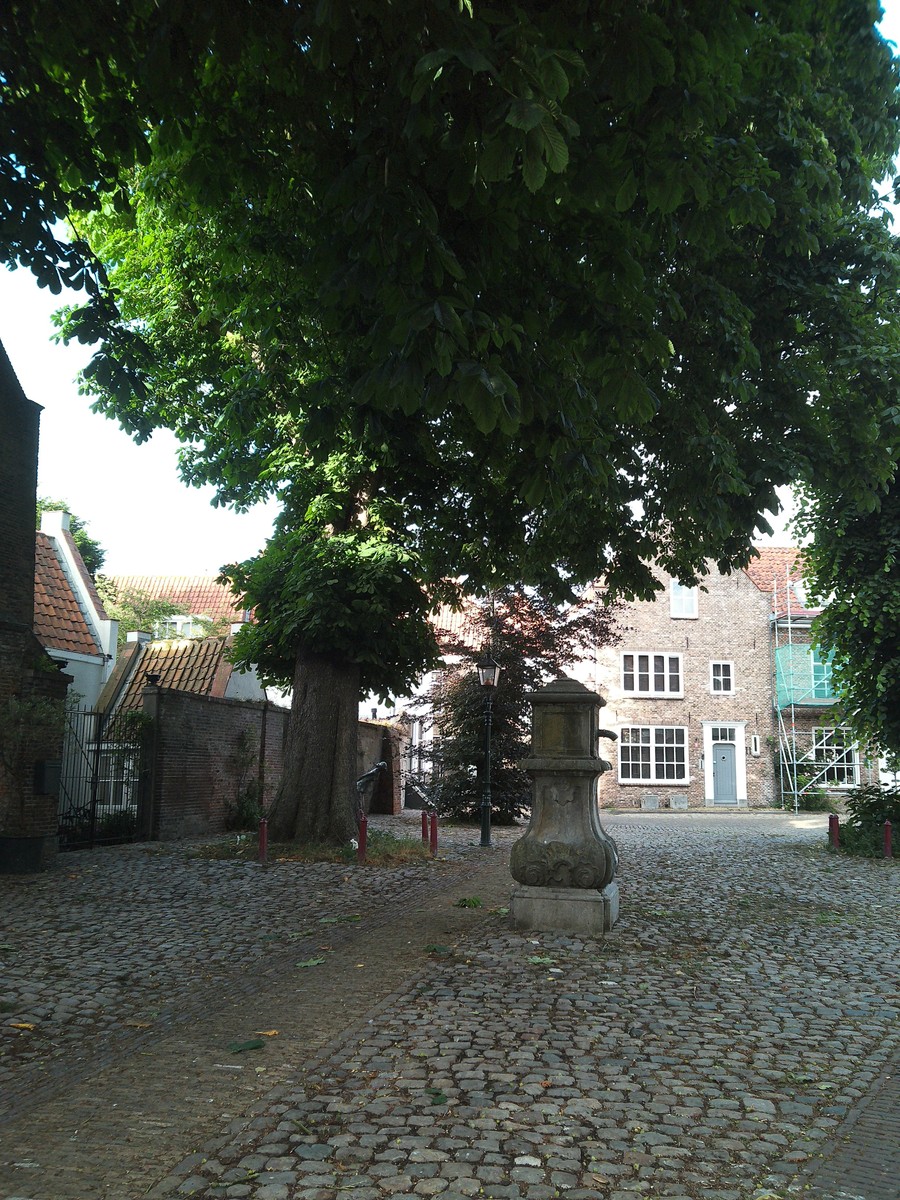 Uploaded image