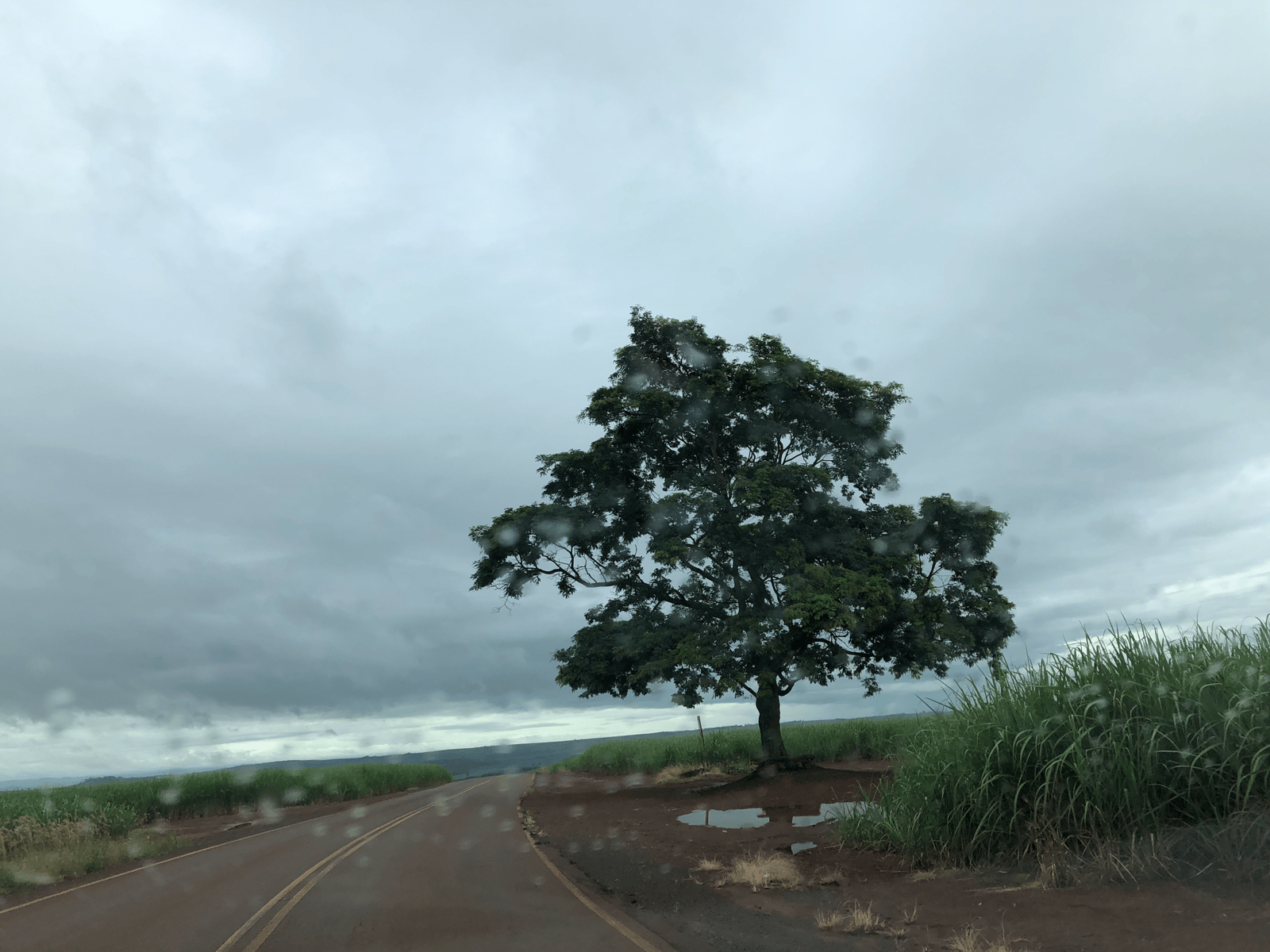 Uploaded image