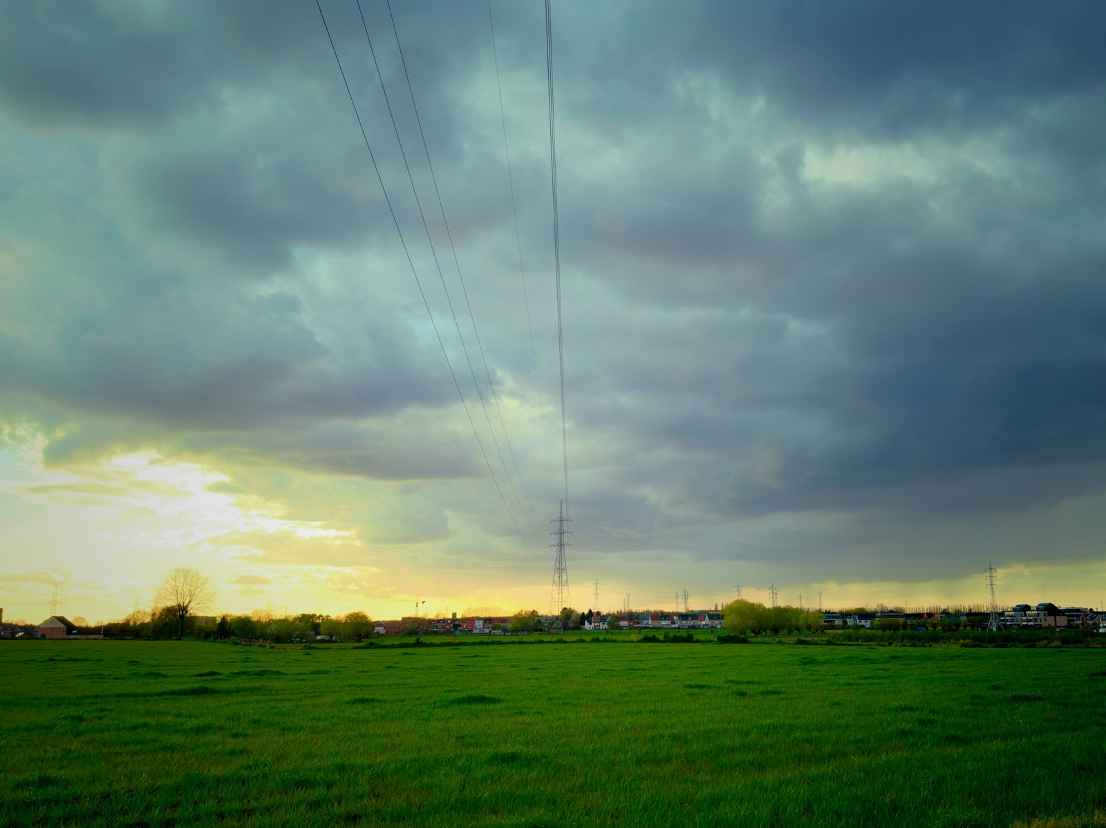 Uploaded image