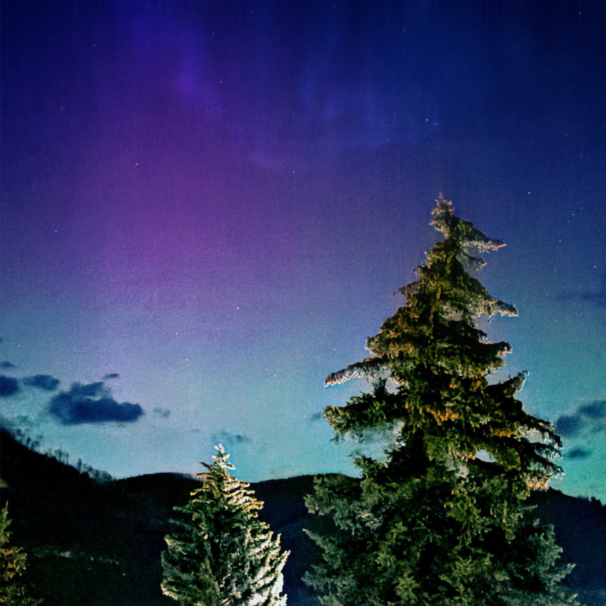 Uploaded image