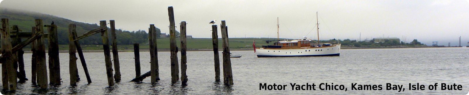 Uploaded image