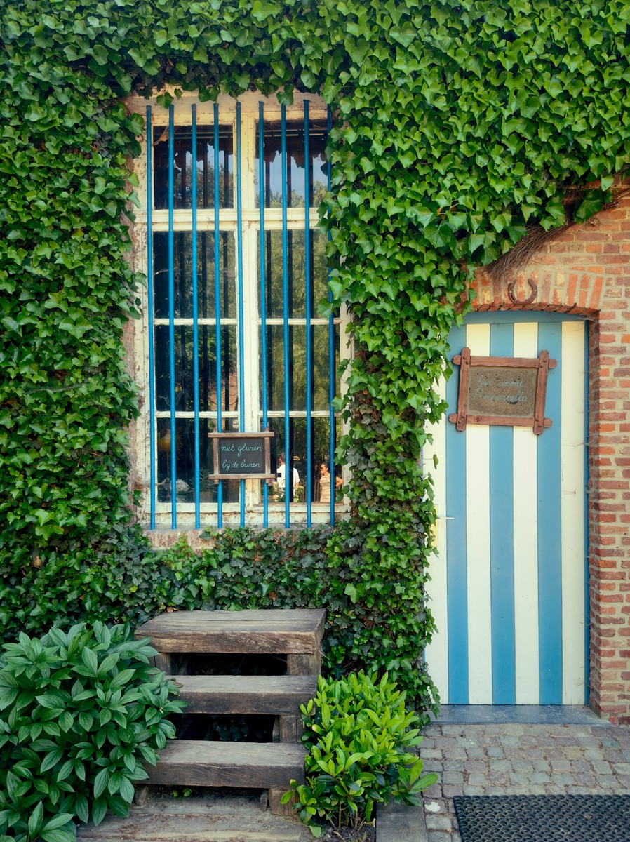 Uploaded image