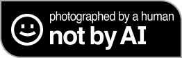 Uploaded image