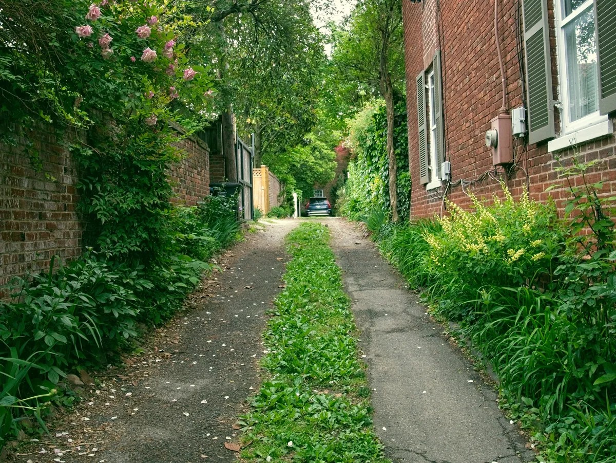 Uploaded image