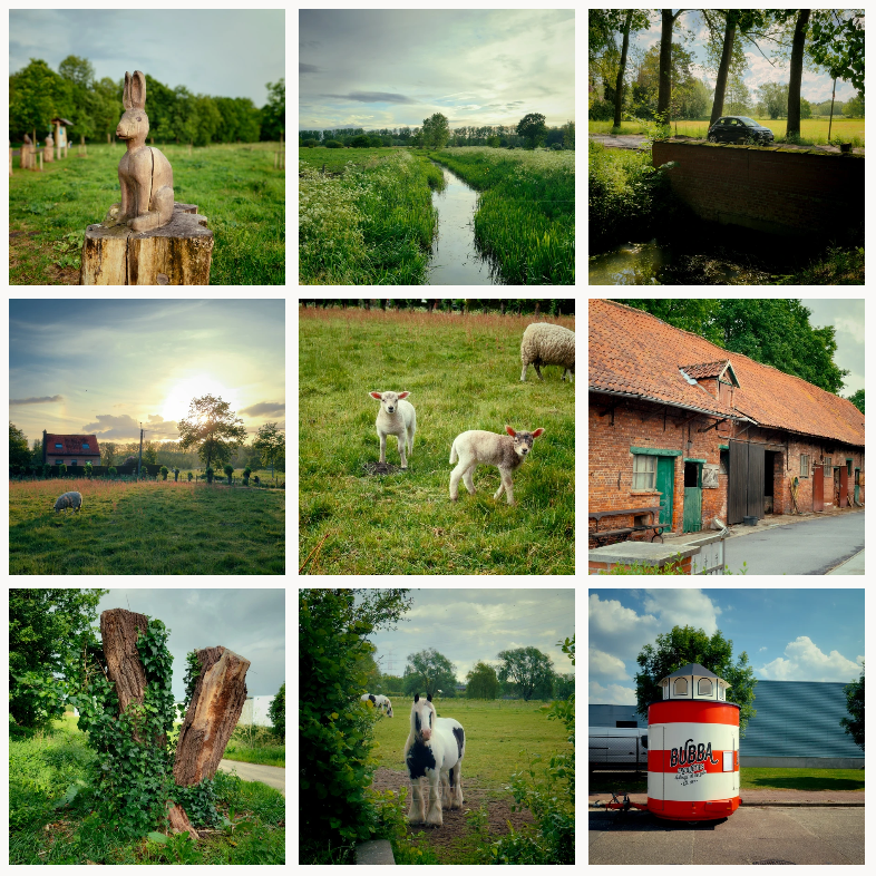 Uploaded image