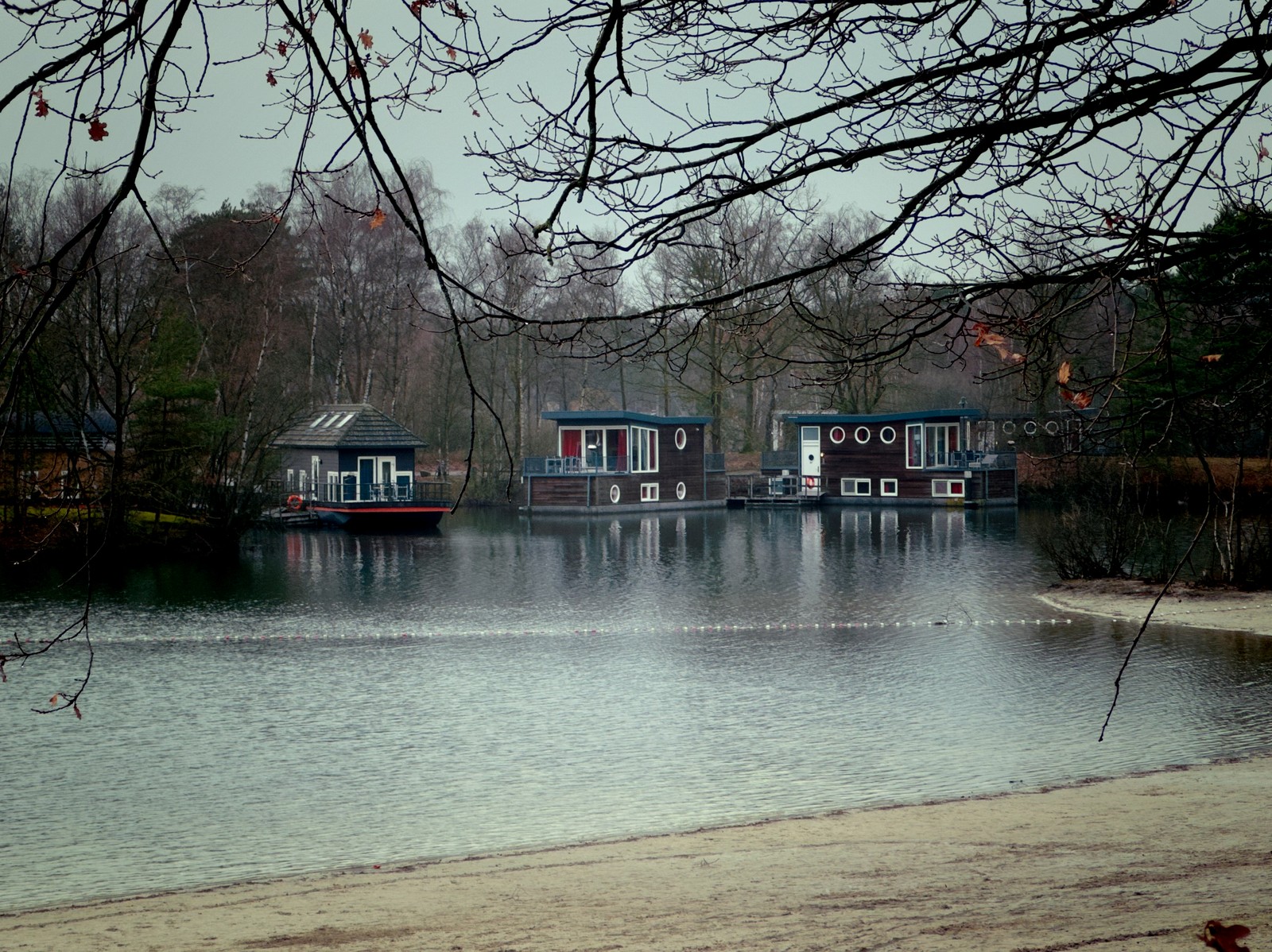 Uploaded image