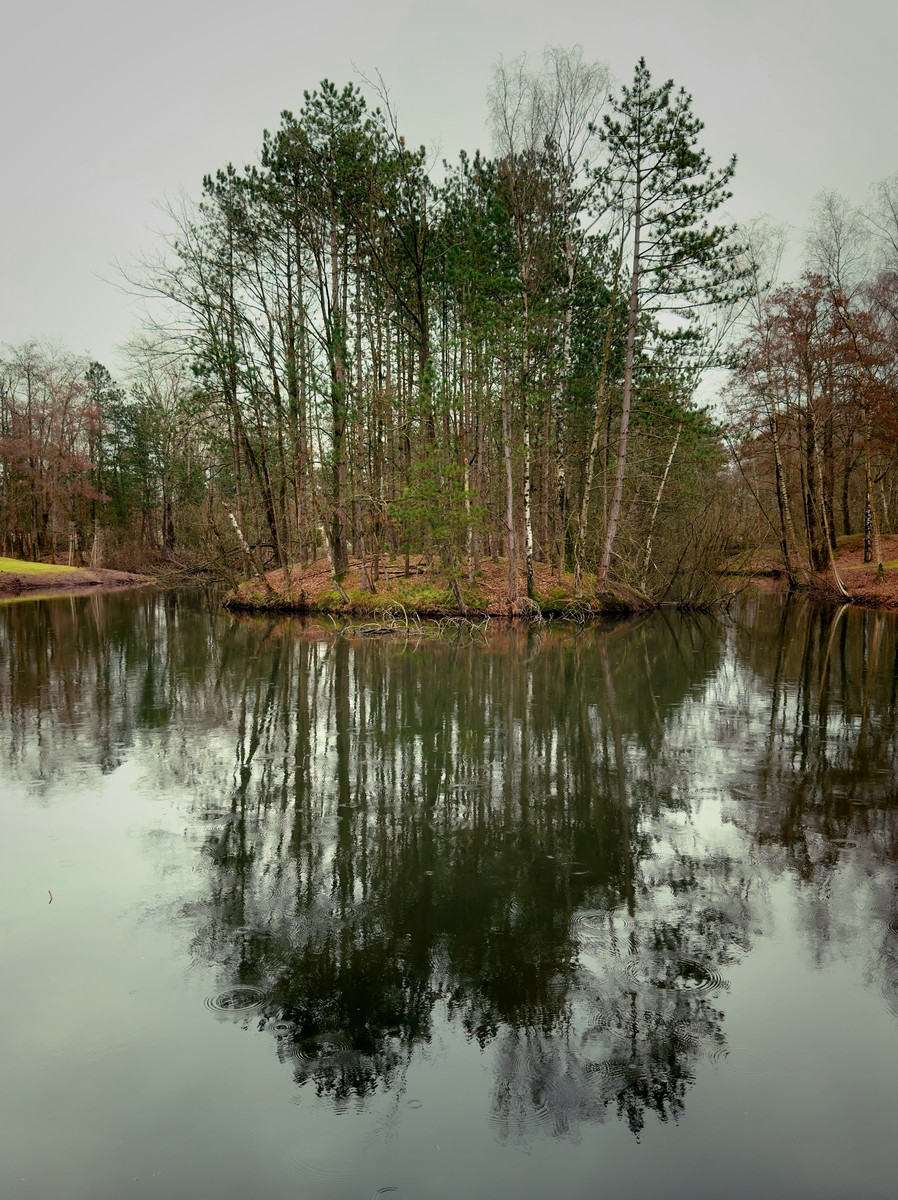 Uploaded image