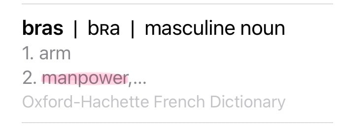a basic dictionary on iPad