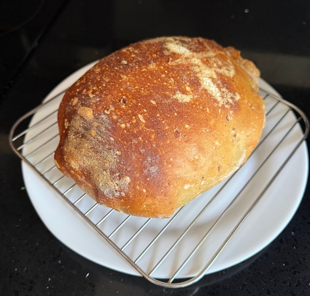 Looks like a head crab...