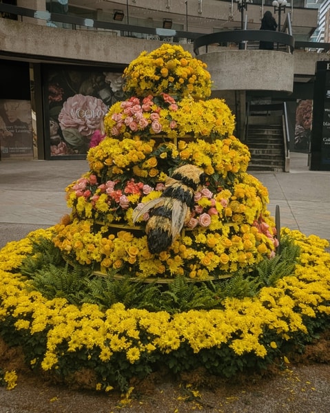 Uploaded image