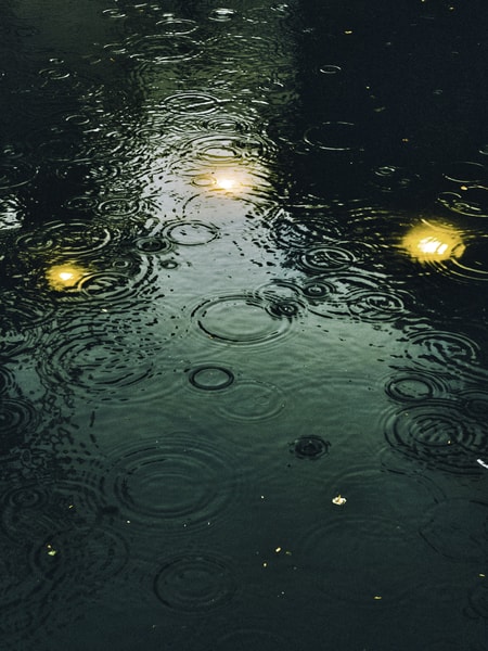 Uploaded image