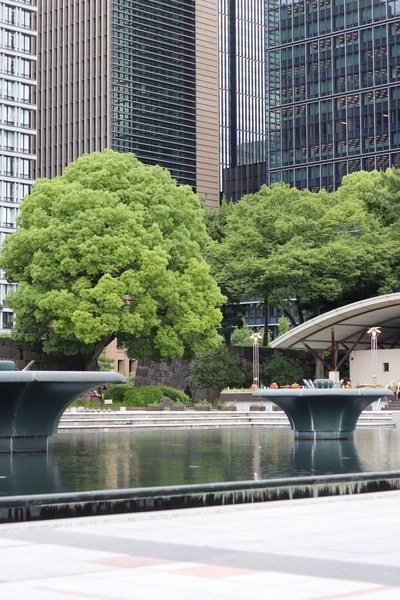 A fountain where the water was taking a break. I like how the organic trees burst out in front of the buildings in the vibrant, post-rain green.