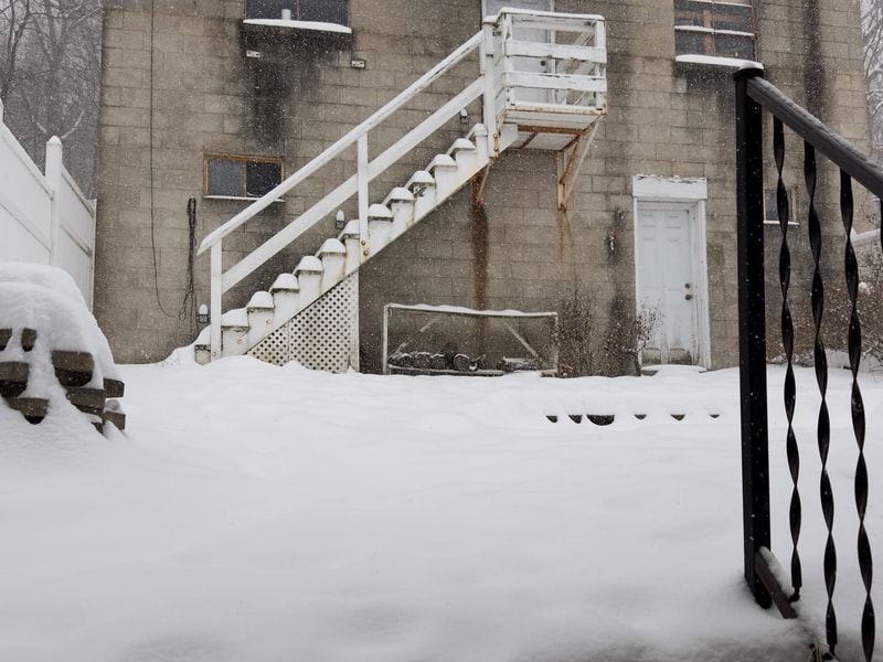 The backyard and garage