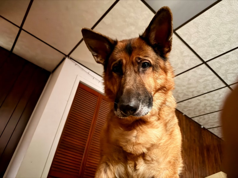 DOIN’ A BIG CONCERN