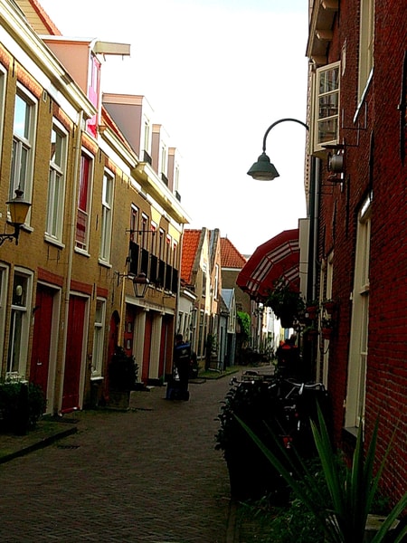 Uploaded image