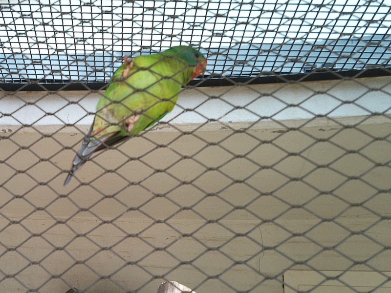 Uploaded image
