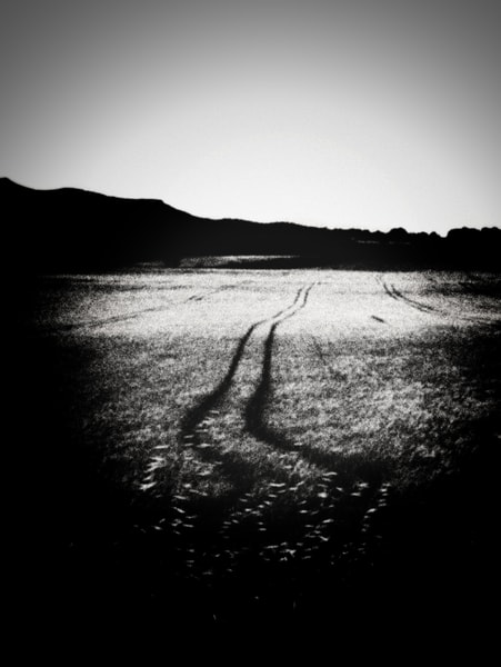 Uploaded image