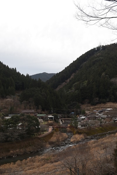 Uploaded image