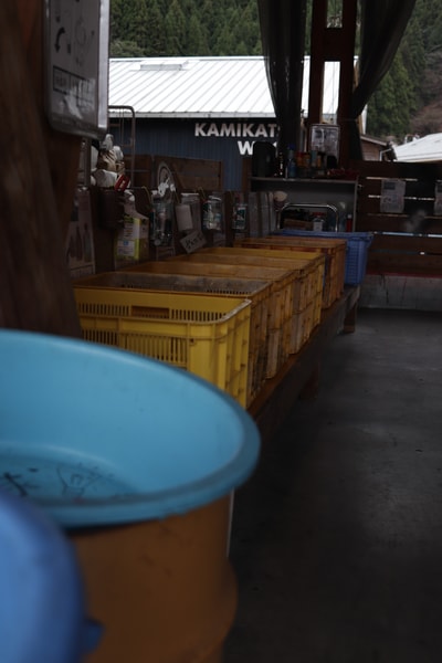Uploaded image