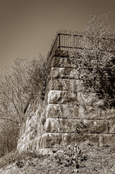 Uploaded image