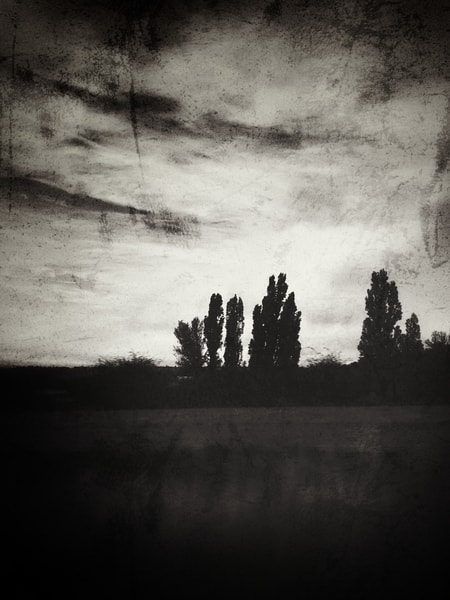Uploaded image