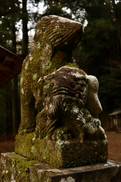 Uploaded image